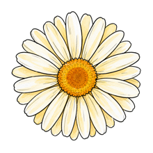 Daisy